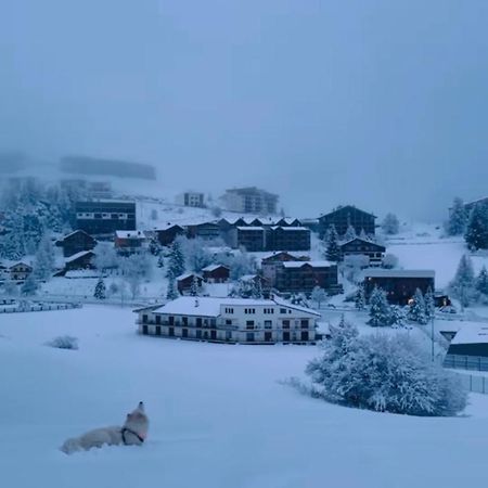 Studio Lumineux Avec Vue Et Acces Sur Les Pistes ! Coup De Coeur Valberg Extérieur photo